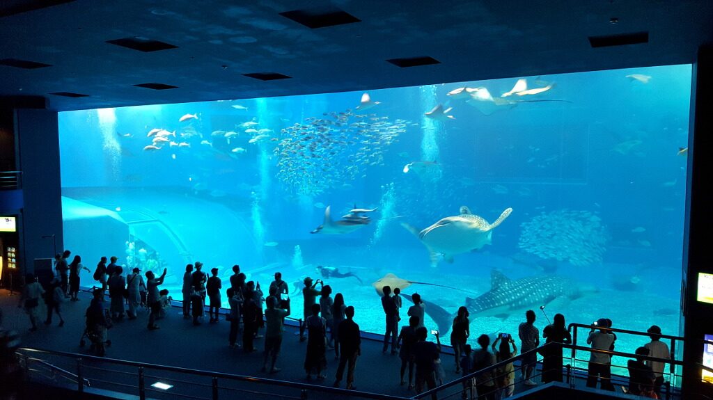 일본 오키나와 여행.