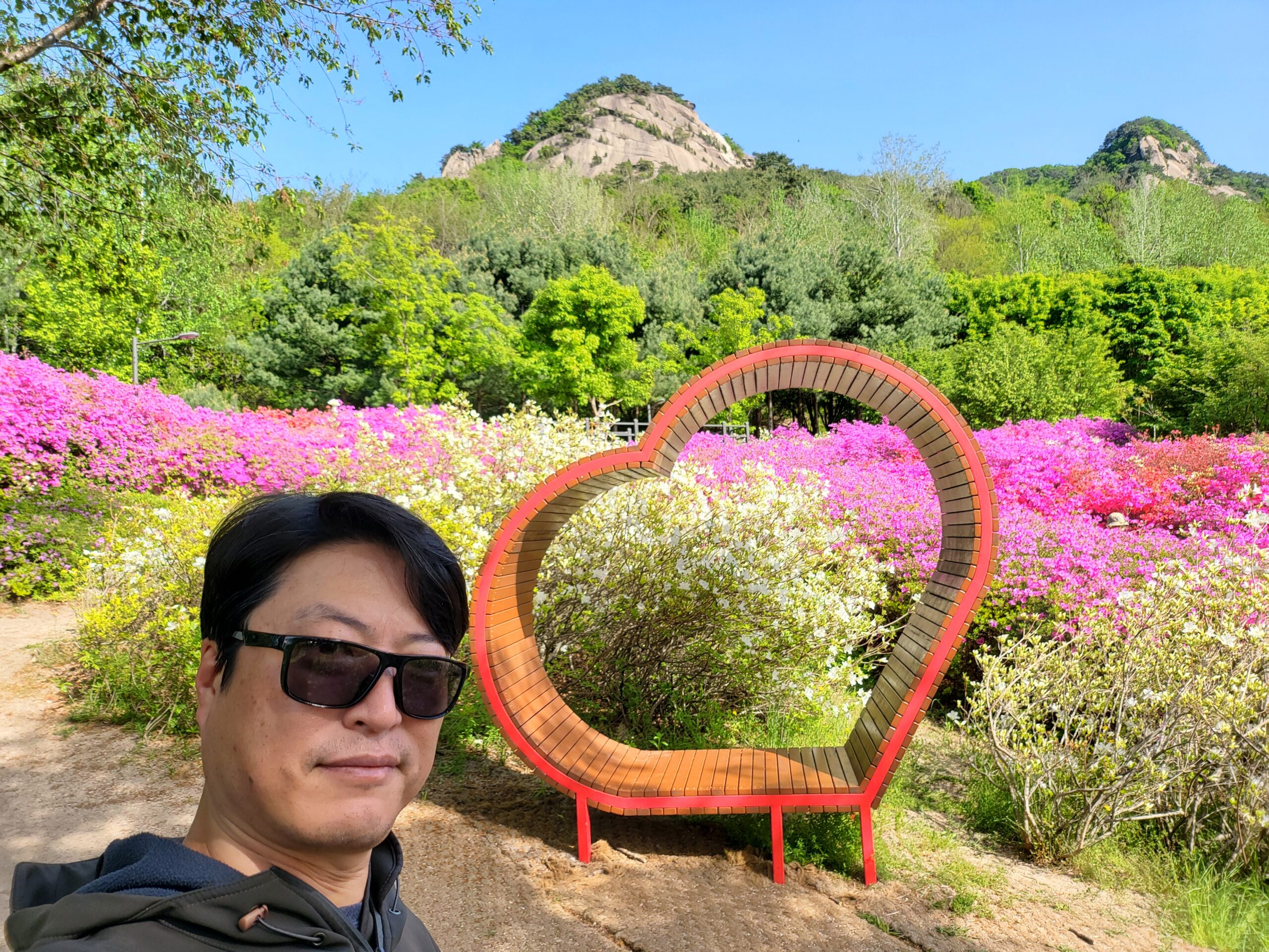 불암산 철죽꽃공원